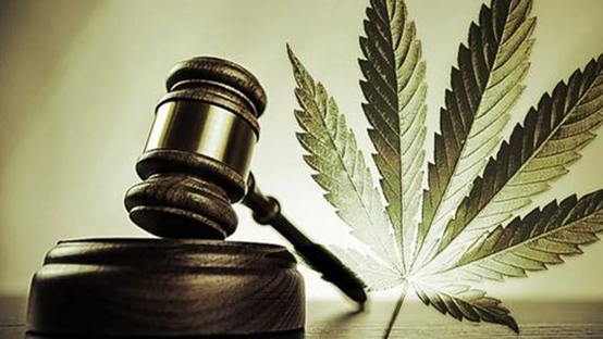 陽光boy販賣大麻被刑拘，王平聚刑事團隊受托介入獲“關多久，判多久”