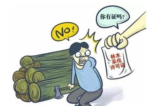 林業站站長采伐四棵枯死樟樹被起訴是否合法？