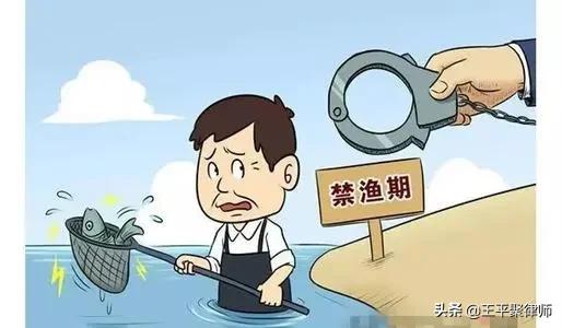 四川農民在自家承包河流里捕魚犯“非法捕撈罪”，此判決合法嗎？ ?